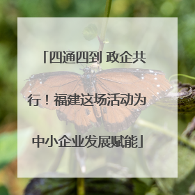 四通四到 政企共行！福建这场活动为中小企业发展赋能