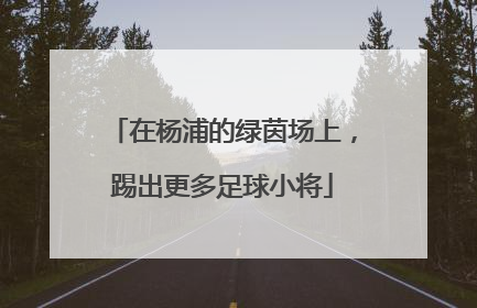 在杨浦的绿茵场上，踢出更多足球小将