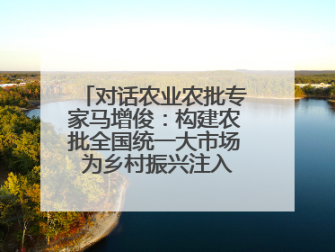 对话农业农批专家马增俊：构建农批全国统一大市场 为乡村振兴注入强劲动力
