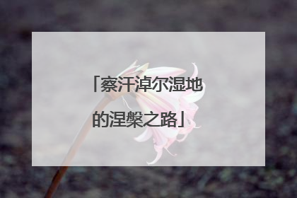 察汗淖尔湿地的涅槃之路