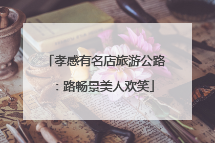 孝感有名店旅游公路：路畅景美人欢笑