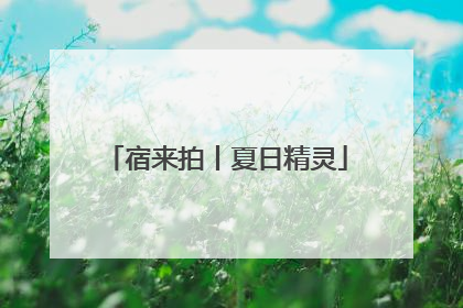 宿来拍丨夏日精灵