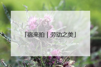 宿来拍｜劳动之美