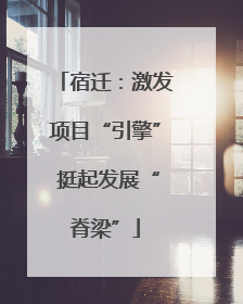 宿迁：激发项目“引擎” 挺起发展“脊梁”