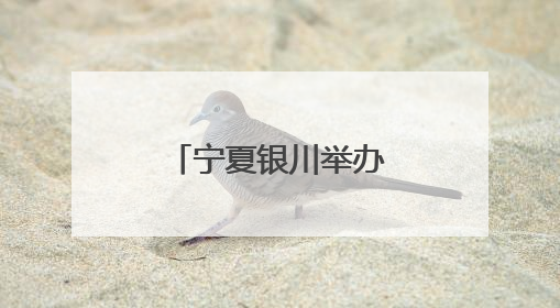 宁夏银川举办少先队辅导员职业能力大赛