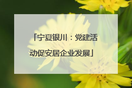 宁夏银川：党建活动促安居企业发展