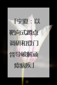 宁夏：以靶向式蹲点调研和登门督导破解顽瘴痼疾