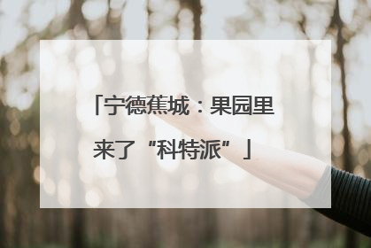 宁德蕉城：果园里来了“科特派”