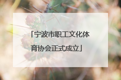宁波市职工文化体育协会正式成立