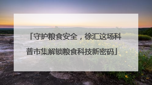 守护粮食安全，徐汇这场科普市集解锁粮食科技新密码