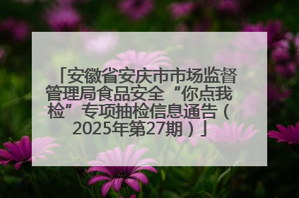 安徽省安庆市市场监督管理局食品安全“你点我检”专项抽检信息通告（2025年第27期）