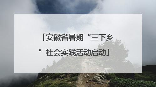 安徽省暑期“三下乡”社会实践活动启动