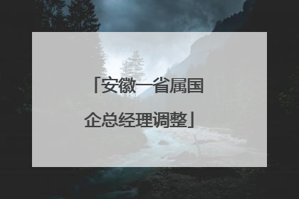 安徽一省属国企总经理调整