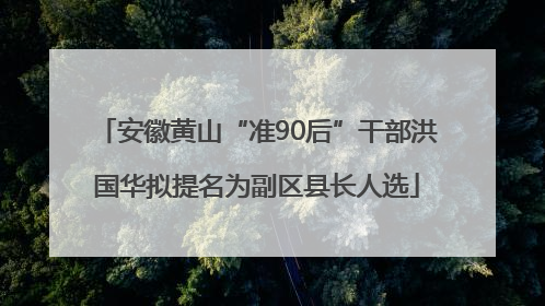 安徽黄山“准90后”干部洪国华拟提名为副区县长人选