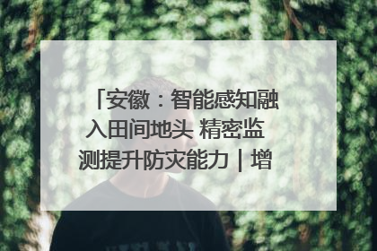 安徽：智能感知融入田间地头 精密监测提升防灾能力｜增发国债气象项目落地见效系列报道
