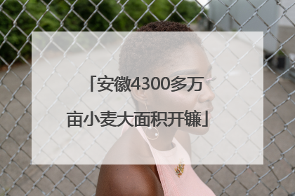 安徽4300多万亩小麦大面积开镰