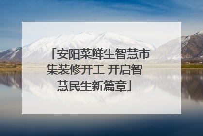安阳菜鲜生智慧市集装修开工 开启智慧民生新篇章
