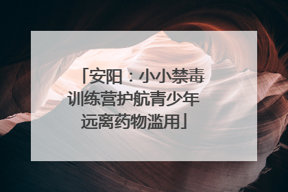 安阳：小小禁毒训练营护航青少年远离药物滥用