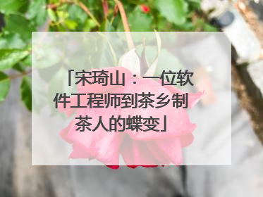 宋琦山：一位软件工程师到茶乡制茶人的蝶变