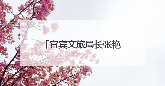 宜宾文旅局长张艳丽：以“三江口”为会客厅，打造近悦远来的国际旅游城市｜文旅局长说