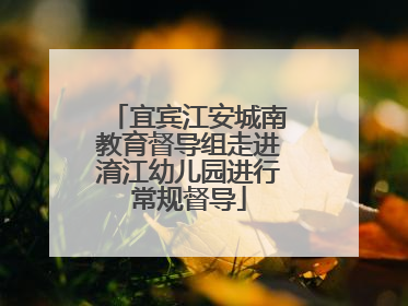 宜宾江安城南教育督导组走进淯江幼儿园进行常规督导