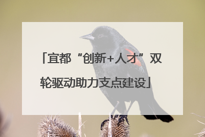宜都“创新+人才”双轮驱动助力支点建设