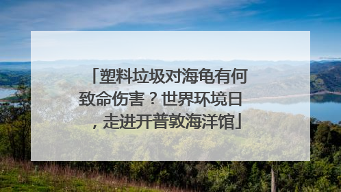 塑料垃圾对海龟有何致命伤害？世界环境日，走进开普敦海洋馆