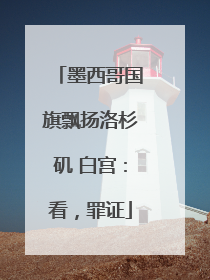 墨西哥国旗飘扬洛杉矶 白宫：看，罪证