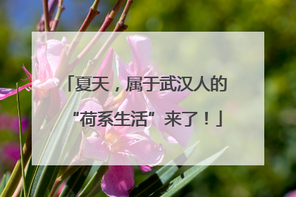 夏天，属于武汉人的“荷系生活”来了！
