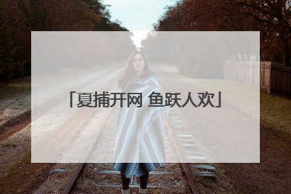 夏捕开网 鱼跃人欢