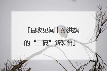 夏收见闻丨孙洪旗的“三夏”新装备