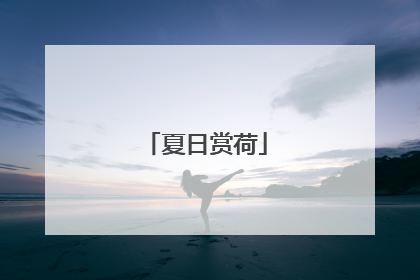 夏日赏荷