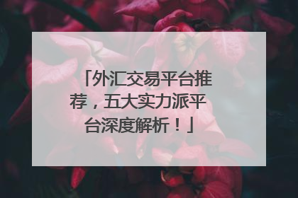外汇交易平台推荐，五大实力派平台深度解析！