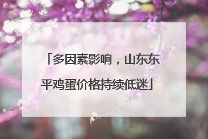多因素影响，山东东平鸡蛋价格持续低迷