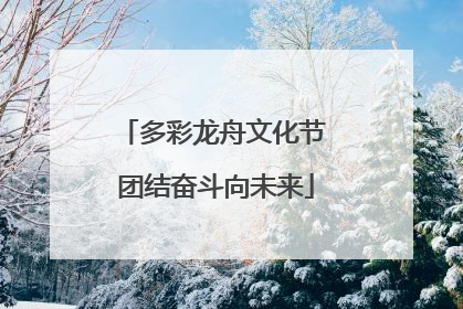 多彩龙舟文化节 团结奋斗向未来