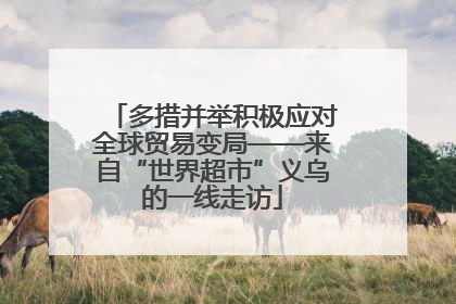 多措并举积极应对全球贸易变局——来自“世界超市”义乌的一线走访