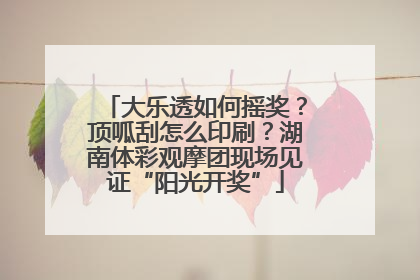大乐透如何摇奖？顶呱刮怎么印刷？湖南体彩观摩团现场见证“阳光开奖”