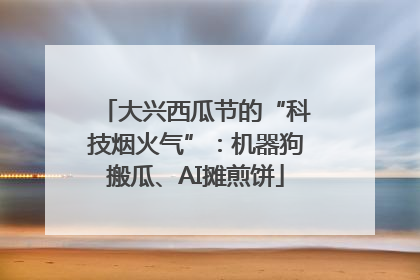大兴西瓜节的“科技烟火气”：机器狗搬瓜、AI摊煎饼