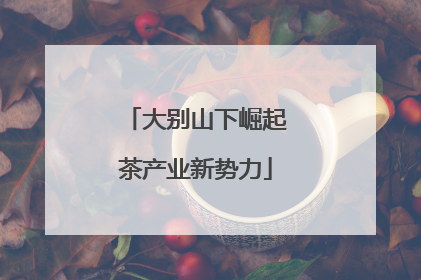 大别山下崛起茶产业新势力