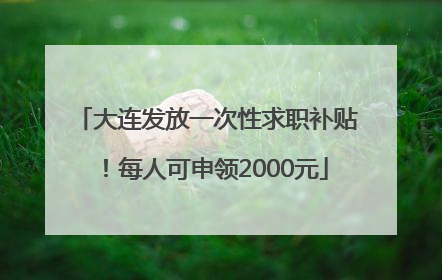 大连发放一次性求职补贴！每人可申领2000元