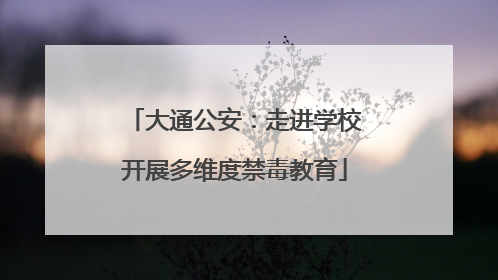 大通公安：走进学校开展多维度禁毒教育