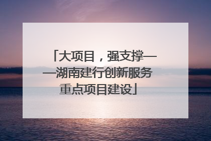 大项目，强支撑——湖南建行创新服务重点项目建设