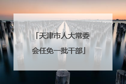 天津市人大常委会任免一批干部