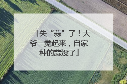 失“蒜”了！大爷一觉起来，自家种的蒜没了