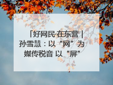 好网民·在东营｜孙雪慧：以“网”为媒传税音 以“屏”为介助发展
