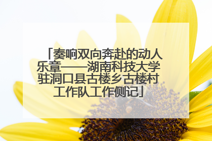 奏响双向奔赴的动人乐章——湖南科技大学驻洞口县古楼乡古楼村工作队工作侧记