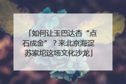 如何让玉巴达杏“点石成金”？来北京海淀苏家坨这场文化沙龙