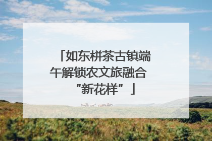 如东栟茶古镇端午解锁农文旅融合“新花样”