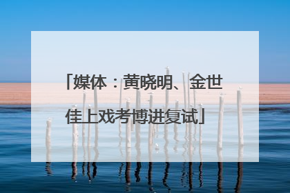 媒体：黄晓明、金世佳上戏考博进复试