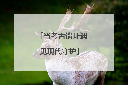当考古遗址遇见现代守护